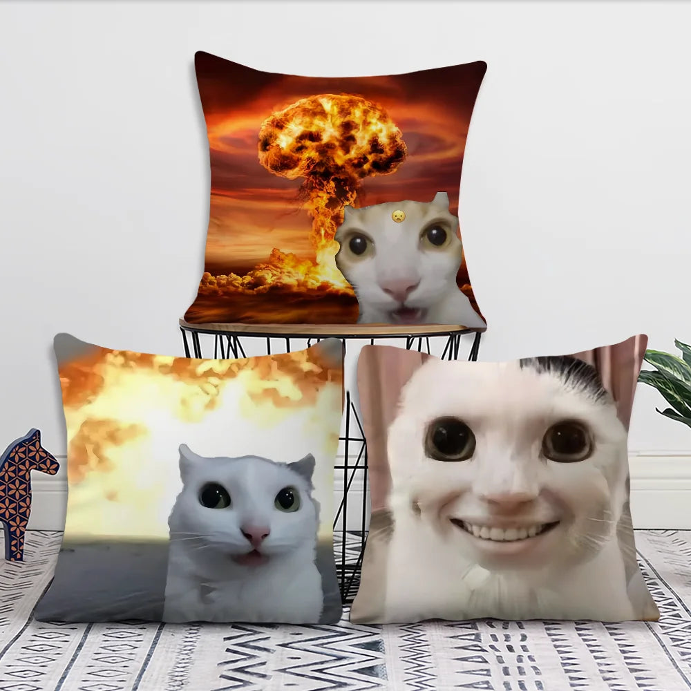 cushion cover Comfortable soft cat funny Pillow Case for Sofa meme Living Room Home office Decor and Protective Covers
