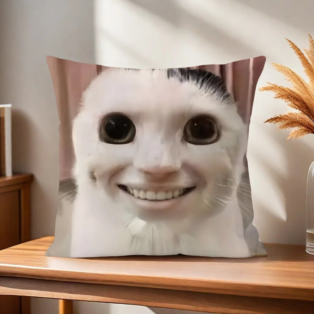 cushion cover Comfortable soft cat funny Pillow Case for Sofa meme Living Room Home office Decor and Protective Covers